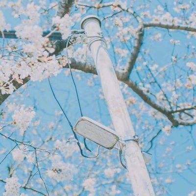 NG体育·(南宫)手机app下载