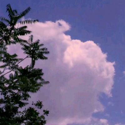 雷竞技·APP截图